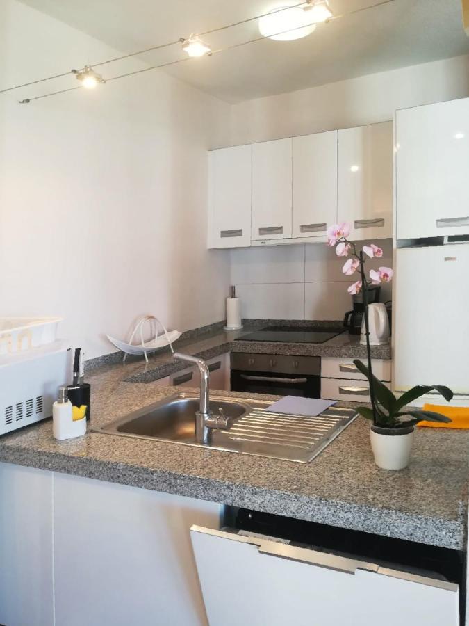 Apartment Viparaiso أذيخي المظهر الخارجي الصورة