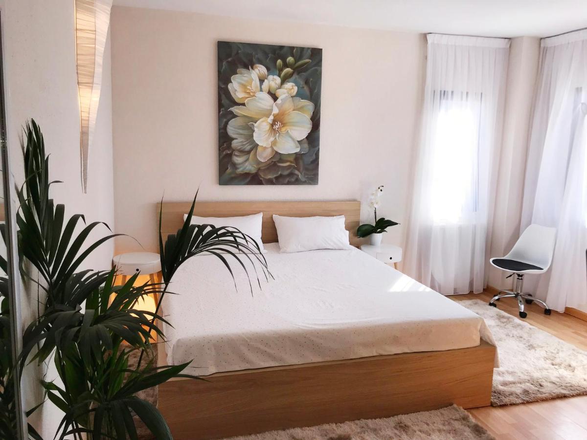 Apartment Viparaiso أذيخي المظهر الخارجي الصورة