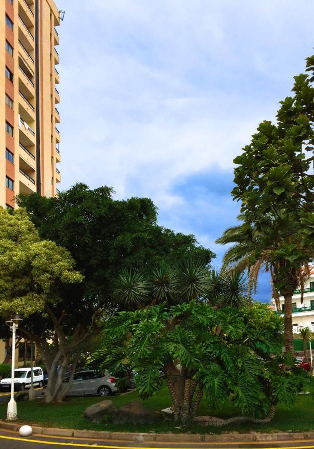 Apartment Viparaiso أذيخي المظهر الخارجي الصورة